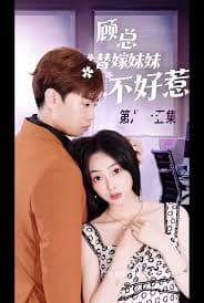 顾总替嫁妹妹不好惹 - 女频恋爱 (2023) 海报
