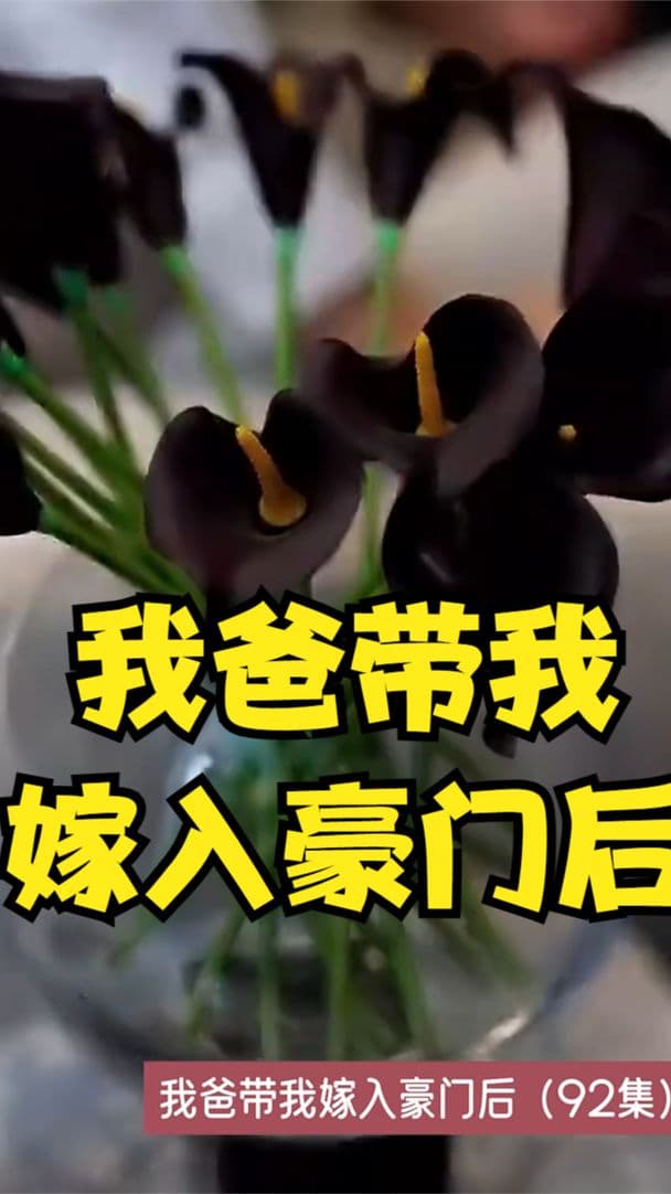 我爸带我嫁入豪门后 - 反转爽剧 (2023) 海报