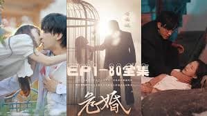 危婚 - 女频恋爱 (2023) 海报