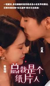 总裁是个纸片人 - 女频恋爱 (2023) 海报