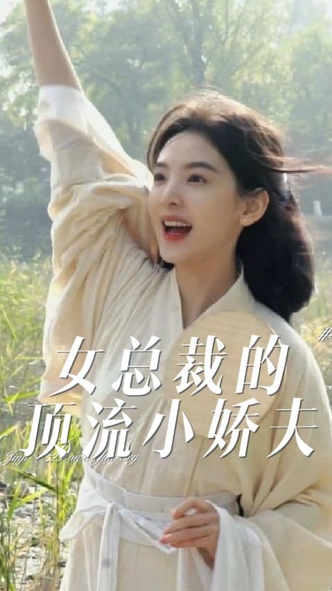 女总裁的顶流小娇夫 - 女频恋爱 (2023) 海报