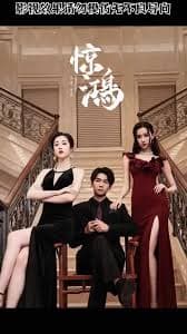 惊鸿 - 反转爽剧 (2023) 海报