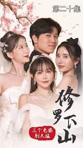 修罗下山三个老婆别太猛 - 反转爽剧 (2023) 海报