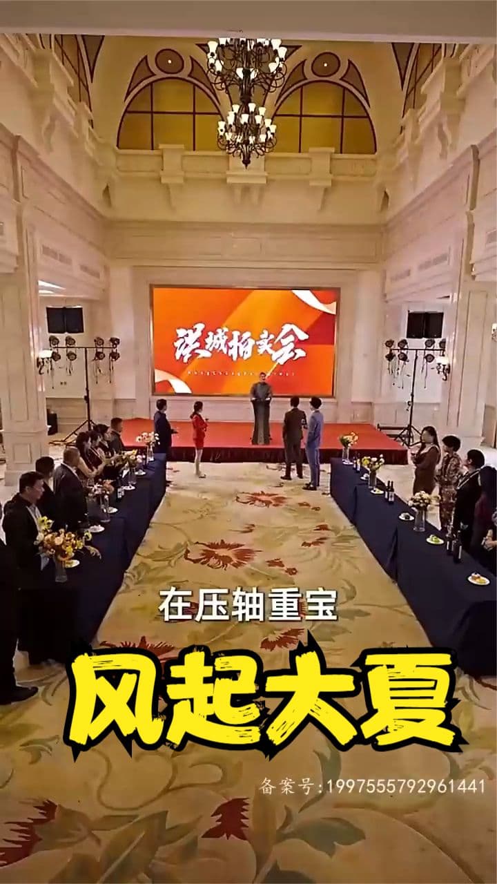 风起大夏 - 反转爽剧 (2023) 海报