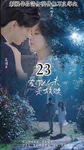 爱你从未是救赎 - 女频恋爱 (2023) 海报