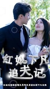 红娘下凡追夫记 - 脑洞悬疑 (2023) 海报