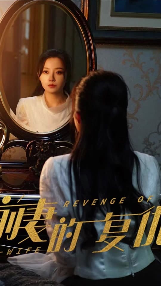 前妻的复仇 - 反转爽剧 (2024) 海报