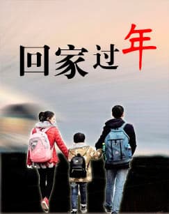 回家过年 - 现代都市 (2023) 海报