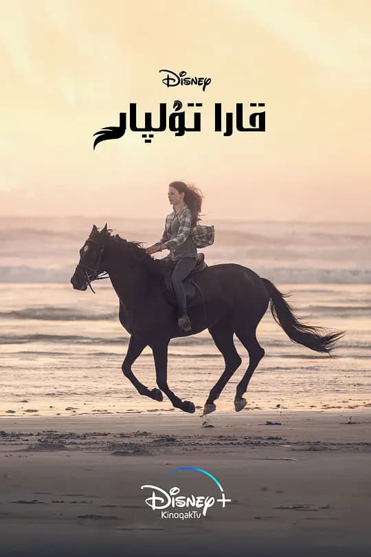 黑神驹【影视解说】 - 影视解说 (2020) 海报