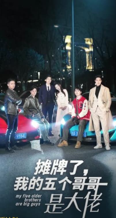 摊牌了我的五个哥哥是大佬 - 现代都市 (2024) 海报