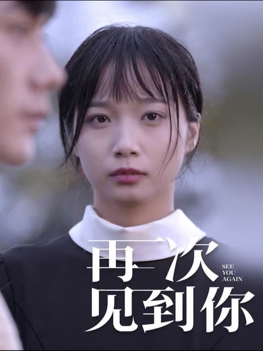 再次见到你 - 现代都市 (2024) 海报