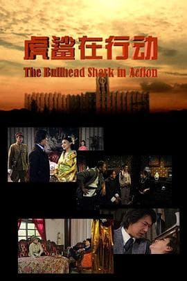 虎鲨在行动 - 剧情片 (2013) 海报