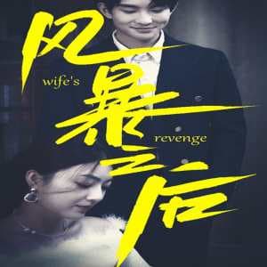 风暴之后 - 现代都市 (2023) 海报