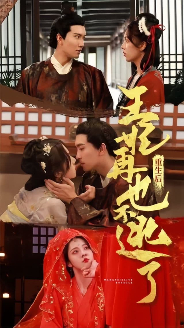重生后王妃再也不逃了 - 古装仙侠 (2023) 海报