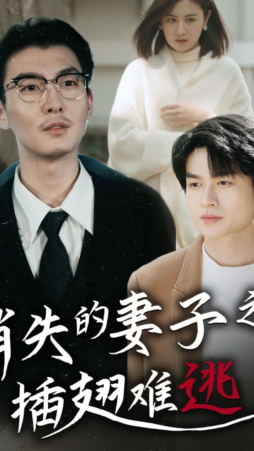 消失的妻子之插翅难逃 - 现代都市 (2023) 海报