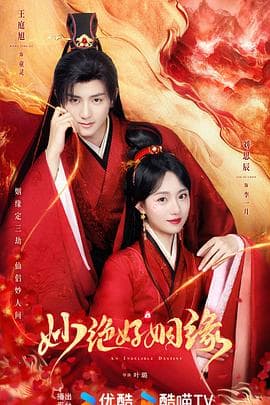 妙绝好姻缘 - 国产剧 (2024) 海报