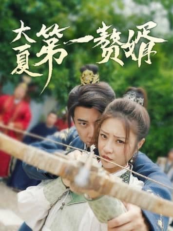 大夏第一赘婿 - 年代穿越 (2024) 海报