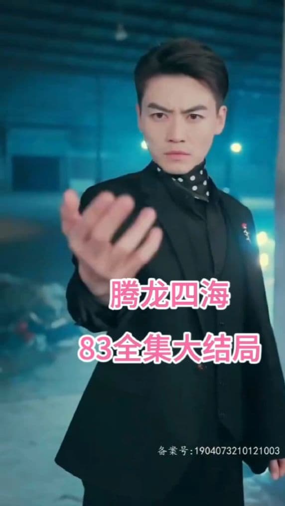 腾龙四海 - 反转爽剧 (2024) 海报