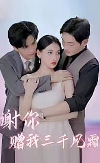 谢你赠我三千风霜 - 现代都市 (2024) 海报