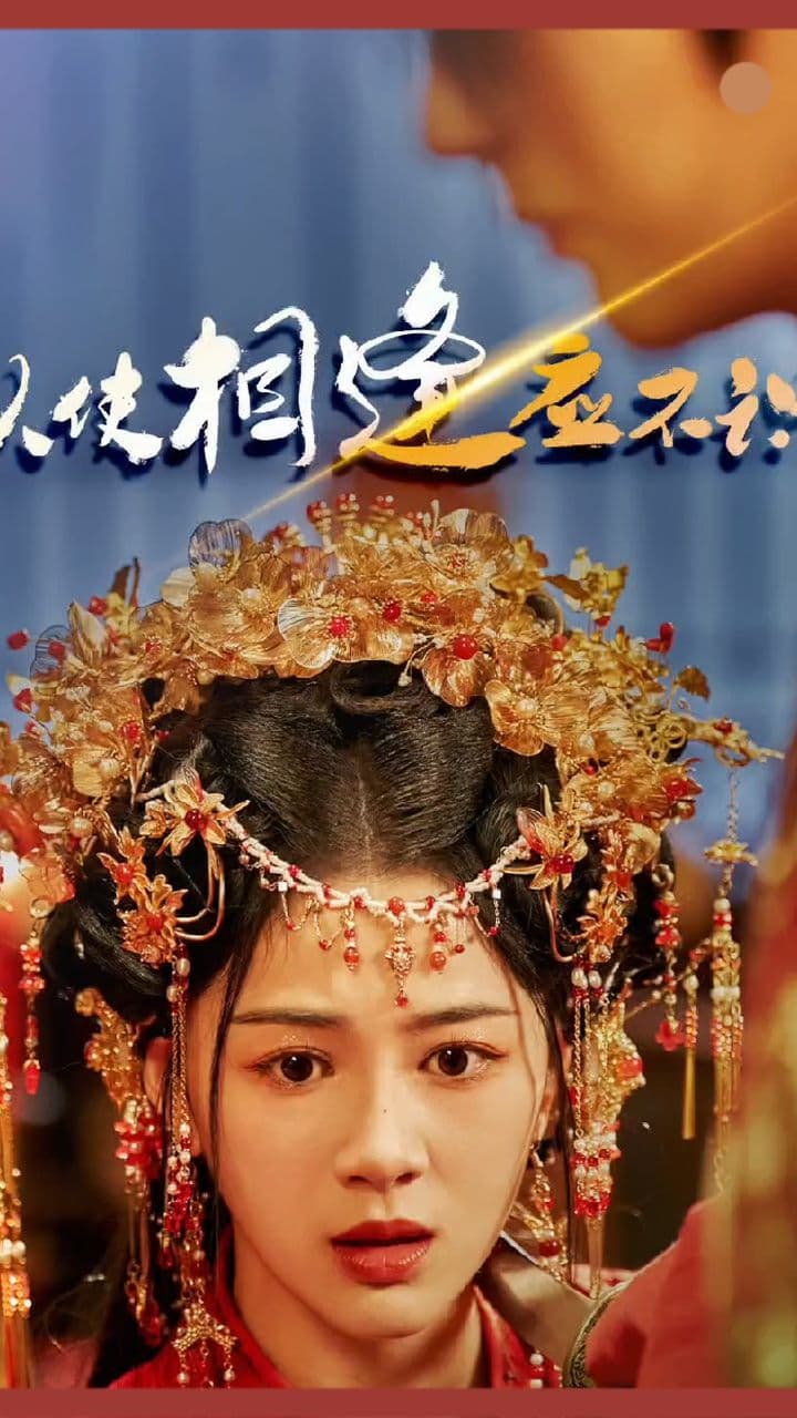 纵使相逢应不识 - 年代穿越 (2024) 海报