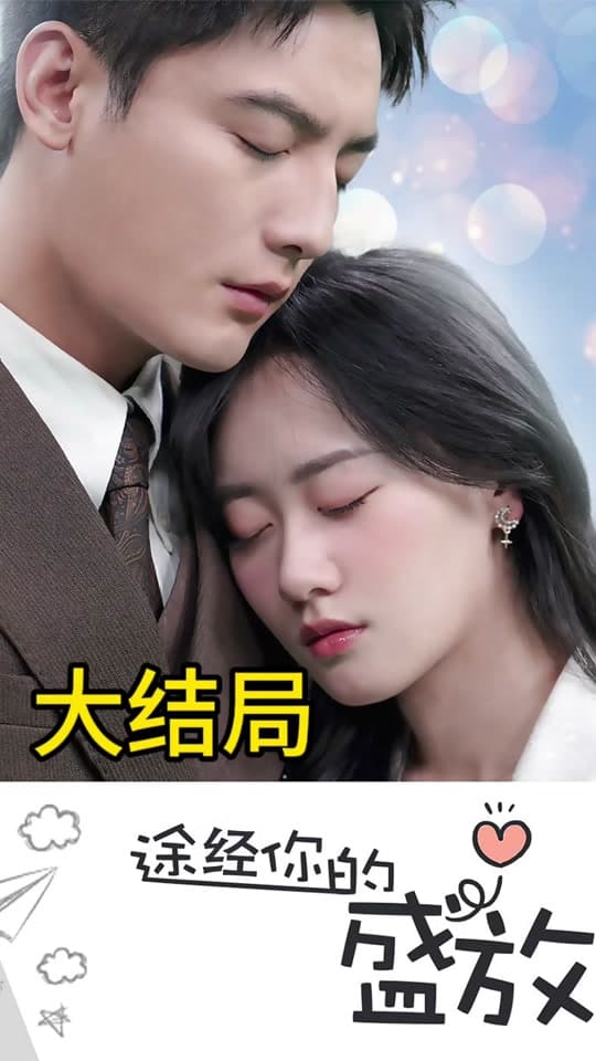 途径你的盛放 - 现代都市 (2023) 海报