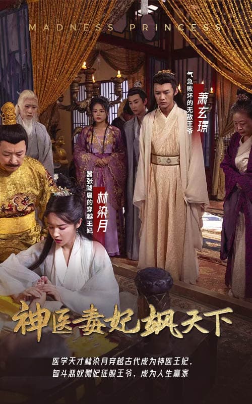 神医毒妃飒天下 - 年代穿越 (2024) 海报