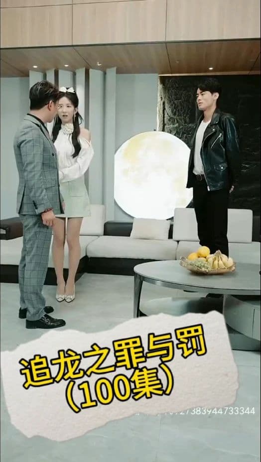追龙之罪与罚 - 反转爽剧 (2024) 海报