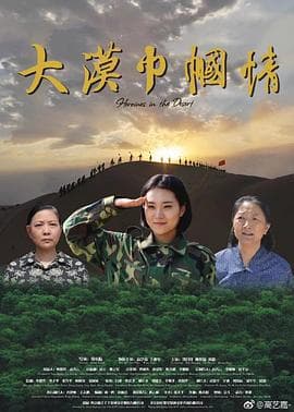 大漠巾帼情 - 剧情片 (2018) 海报