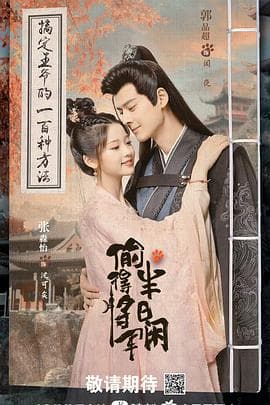 偷得将军半日闲 - 国产剧 (2024) 海报