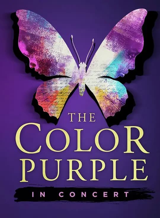 紫色姊妹花【影视解说】 - 影视解说 (1985) 海报