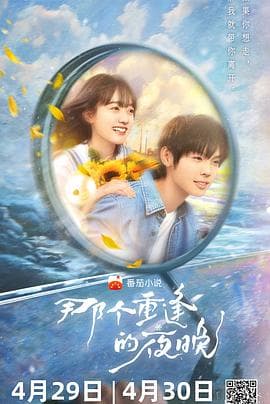 那个重逢的夜晚 - 国产剧 (2024) 海报