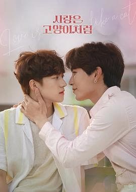 爱情像猫一样 - 韩剧 (2023) 海报