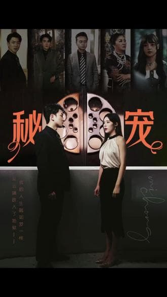 秘宠 - 女频恋爱 (2023) 海报