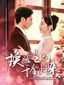 换脸之千金归来 - 反转爽剧 (2024) 海报