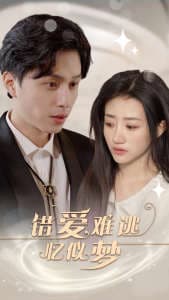 错爱难逃忆似梦 - 女频恋爱 (2024) 海报