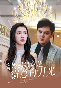 离婚妈妈竟是霸总白月光 - 女频恋爱 (2024) 海报