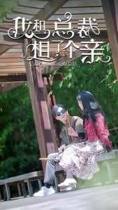 我和总裁相了个亲 - 女频恋爱 (2024) 海报