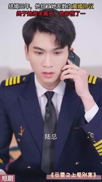 云霄之上爱别离 - 现代都市 (2024) 海报