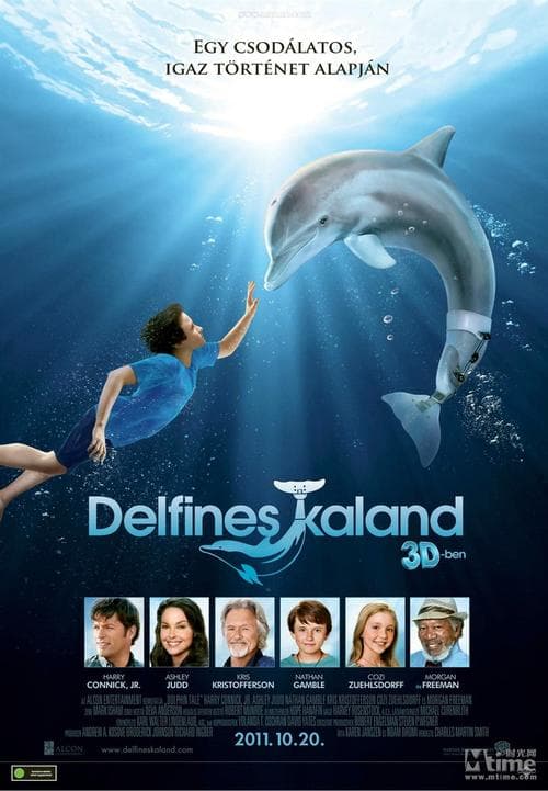 一只海豚的故事【影视解说】 - 影视解说 (2011) 海报