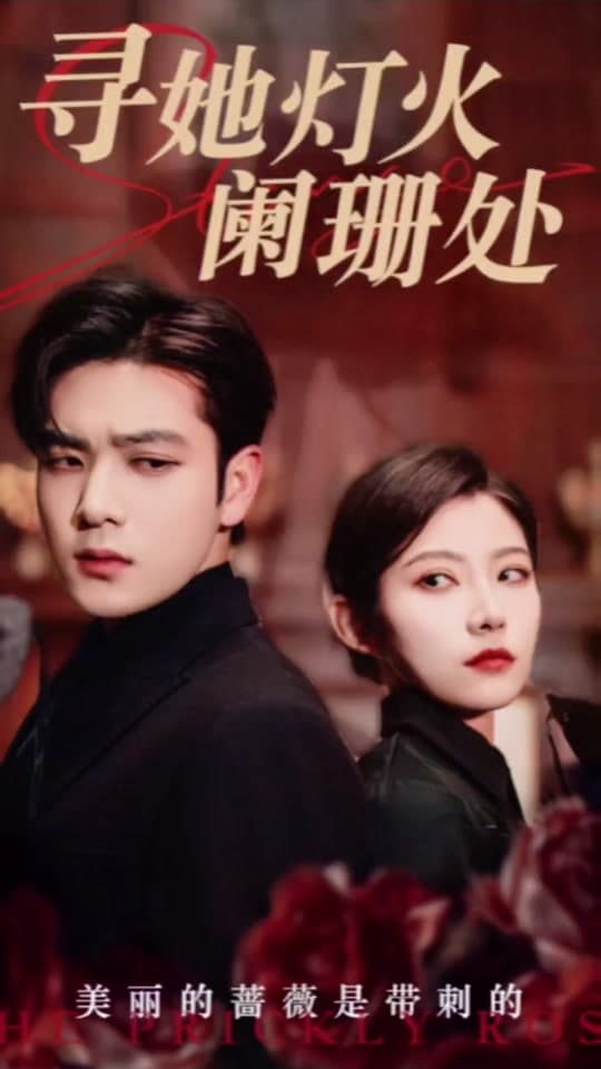 寻她灯火阑珊处 - 女频恋爱 (2024) 海报