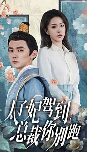 太子妃驾到，总裁你别跑 - 现代都市 (2024) 海报