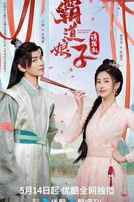 霸道娘子请指教 - 国产剧 (2024) 海报