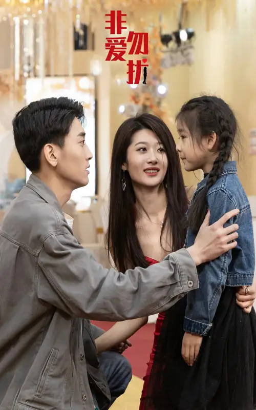 非爱勿扰 - 女频恋爱 (2024) 海报