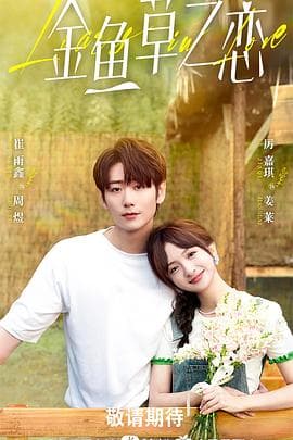 无法抗拒的谎言 - 国产剧 (2024) 海报