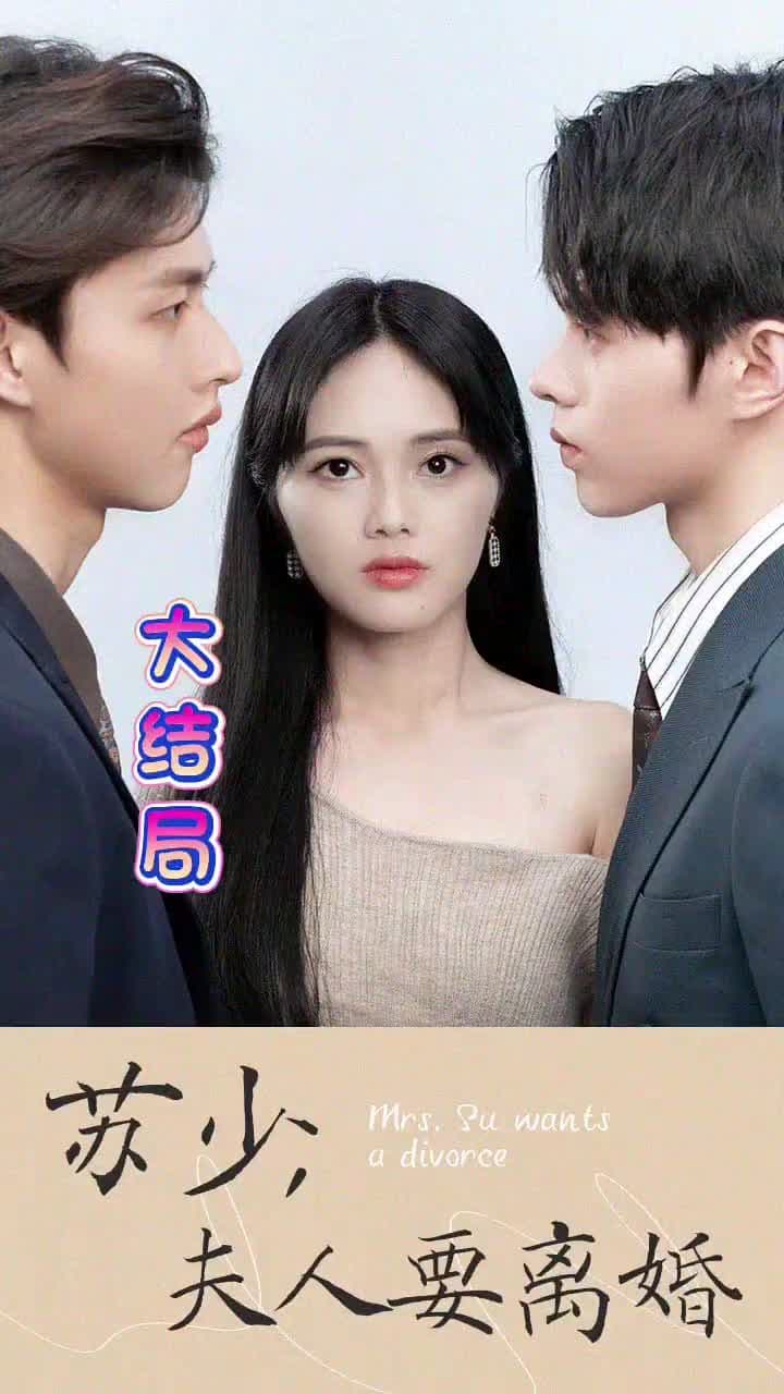 苏少！夫人要离婚 - 现代都市 (2024) 海报