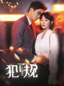 犯了规 - 现代都市 (2024) 海报