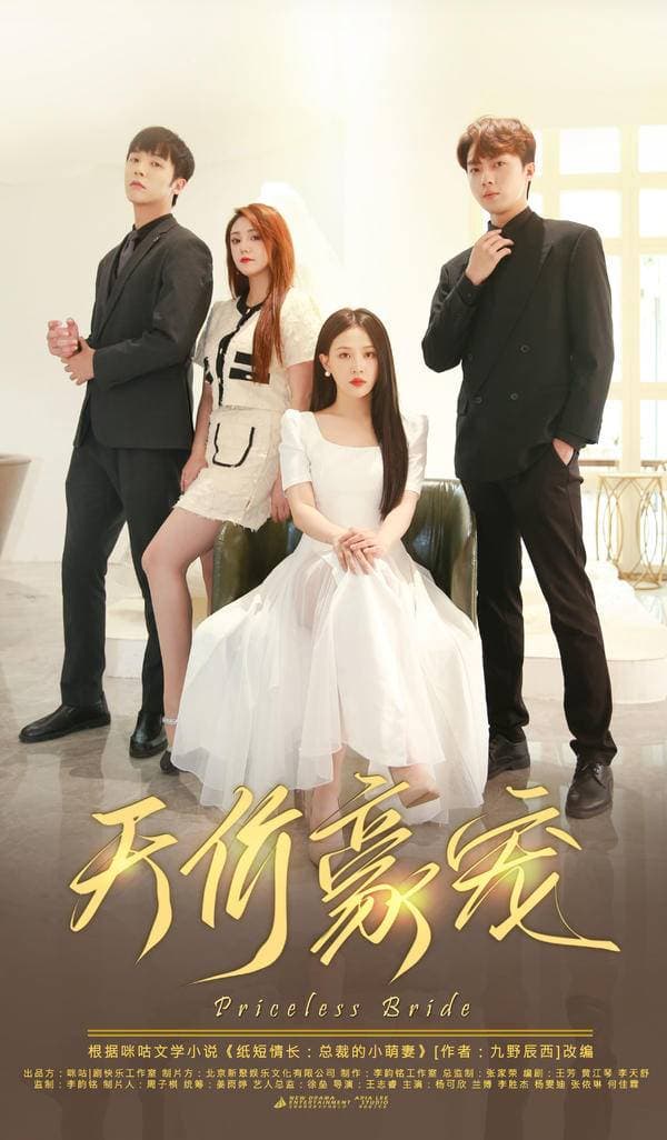 天价宠妻 - 现代都市 (2024) 海报