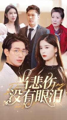 当悲伤没有眼泪 - 女频恋爱 (2024) 海报