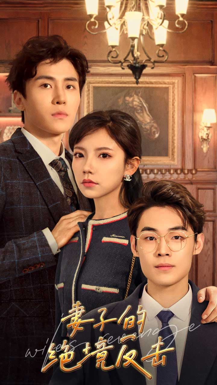 妻子的绝境反击 - 反转爽剧 (2024) 海报