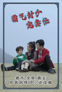 霸气封少宠妻忙 - 女频恋爱 (2024) 海报